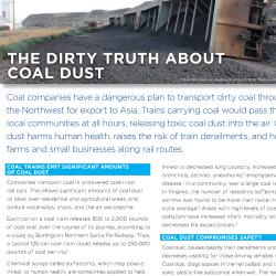 Screenshot of the factsheet the harms of coal dust