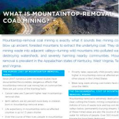 Screenshot of the factsheet about mountain top removal