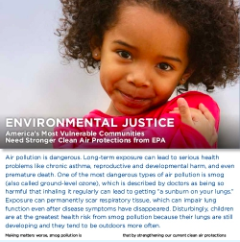 Screenshot of the factsheet about the need for clean air protections from the EPA