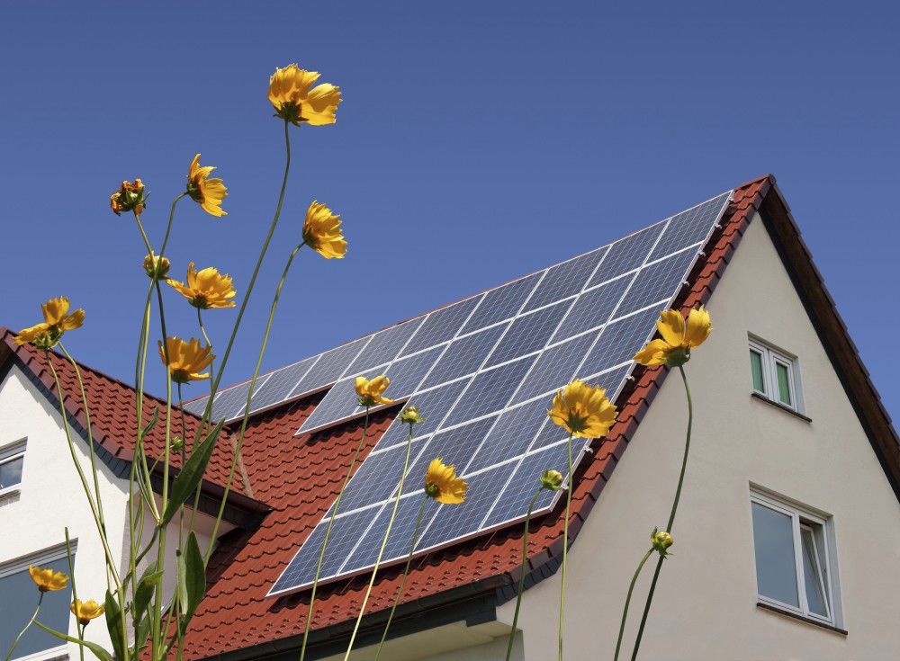 A house with a steep roof has solar panels on it. Yellow flowers are in the foreground.